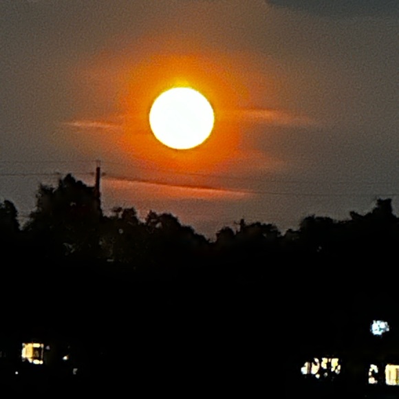 NEW LISTINGS WEEKLY!!! Hello gorgeous, I’m a Posh Mentor! - Picture 4 of 11